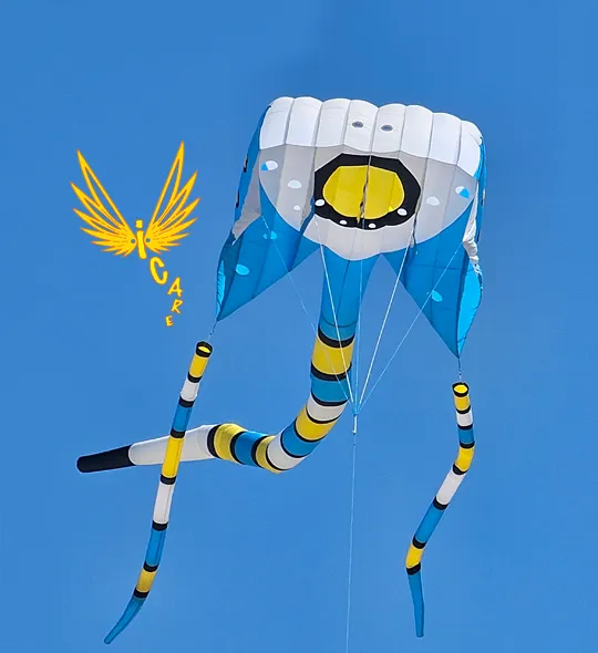 Icare Encore — l’art du cerf-volant en Bretagne
