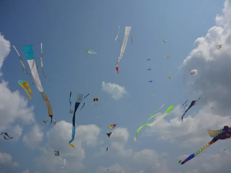 Festival de cerf-volant
