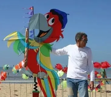 Festival de cerf-volant